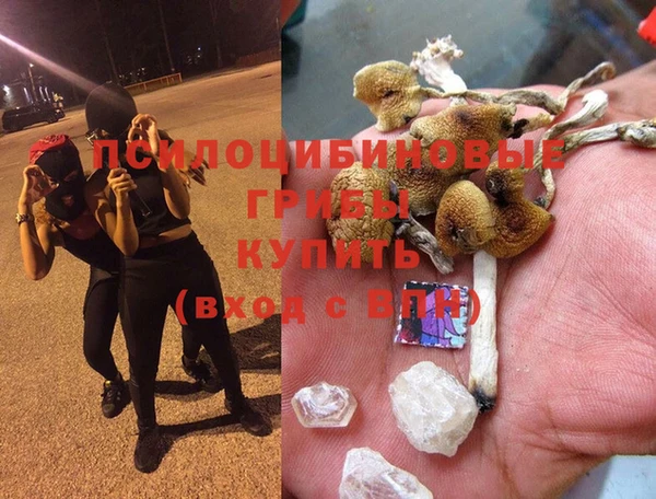 прущие крисы Абаза