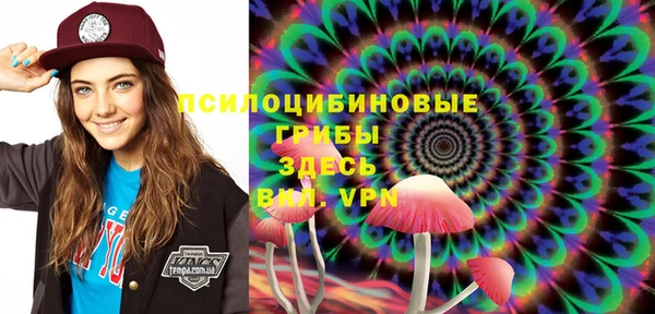 бошки Абдулино