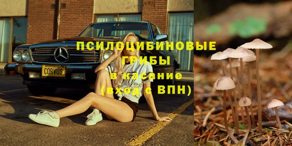 прущие крисы Абаза