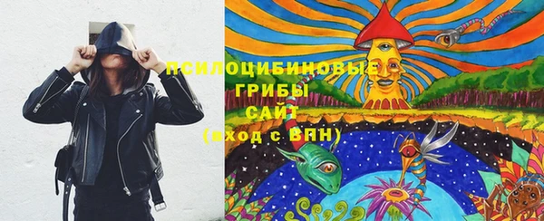 бошки Абдулино