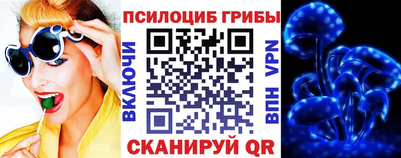 маркетплейс Telegram Егорьевск Галлюциногенные грибы прущие грибы
